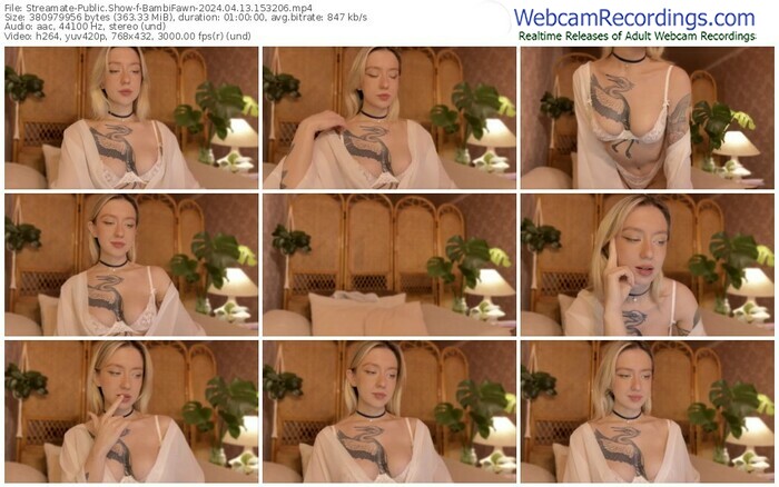 streamate-bambifawn-04-13-2024-15-32-06