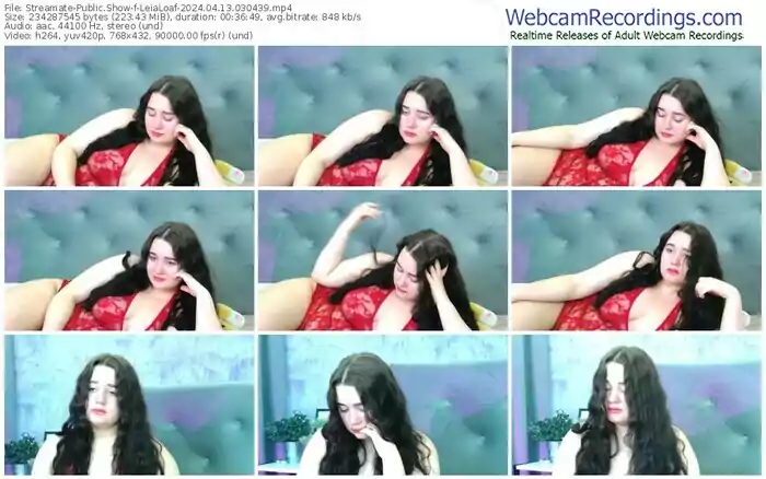 streamate-leialoaf-04-13-2024-03-04-39