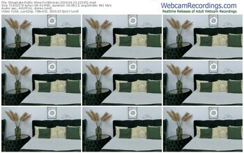 streamate-lilemmau-04-13-2024-22-33-51