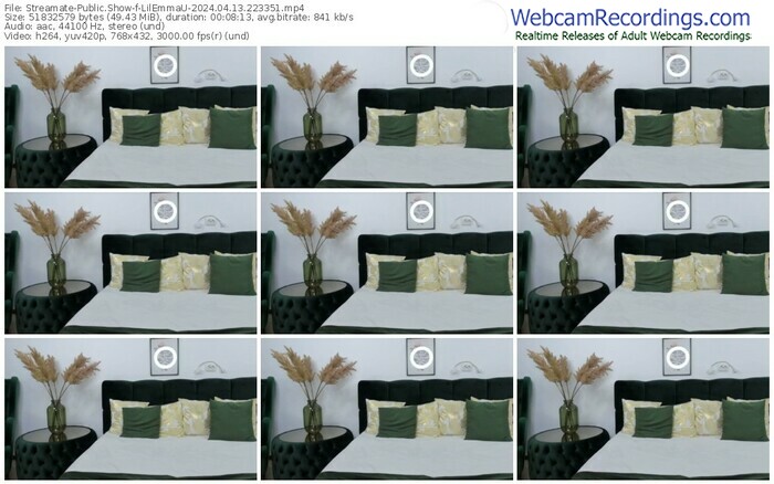 streamate-lilemmau-04-13-2024-22-33-51
