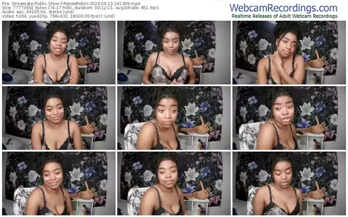 streamate-reneerobin-04-13-2024-16-13-09