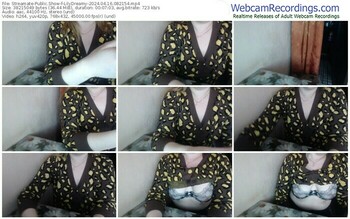 streamate-lilydreamy-04-16-2024-08-21-54
