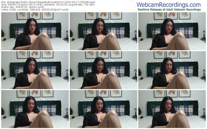 streamate-naughtybrunettexxx-04-17-2024-15-50-58