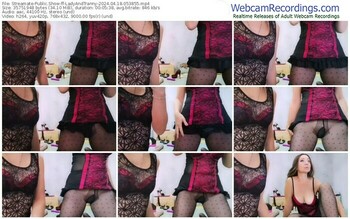 streamate-ff-ladyandtranny-04-18-2024-05-38-55