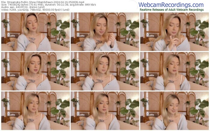 streamate-bambifawn-04-19-2024-05-28-39