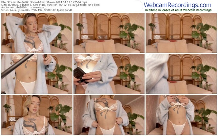 streamate-bambifawn-04-19-2024-14-25-34