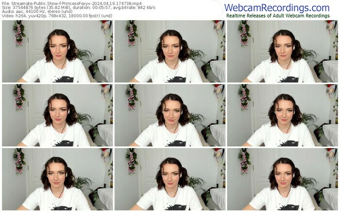 streamate-princessfoxyx-04-19-2024-17-47-38