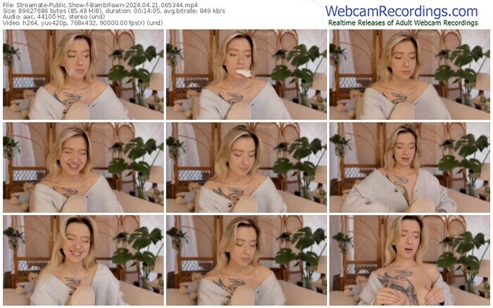 streamate-bambifawn-04-21-2024-06-53-44