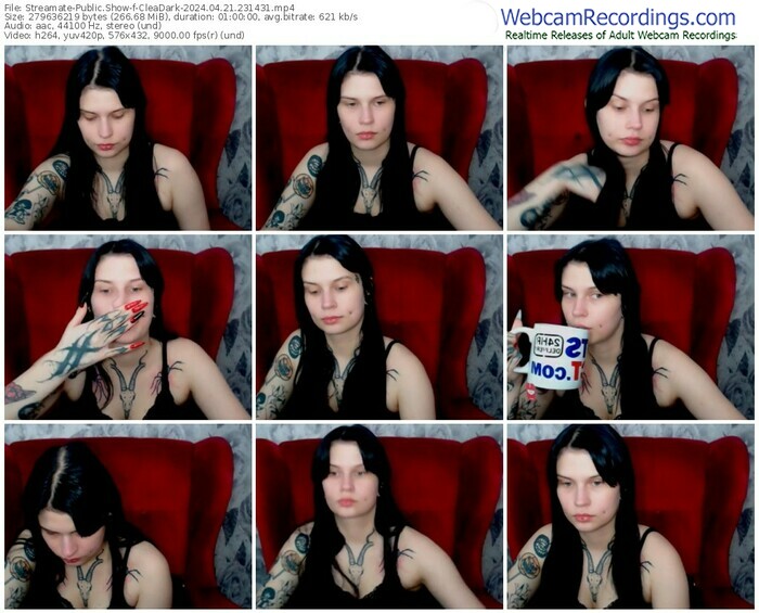 streamate-cleadark-04-21-2024-23-14-31