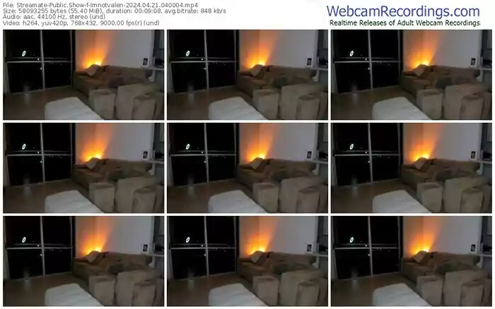 streamate-imnotvalen-04-21-2024-04-00-04