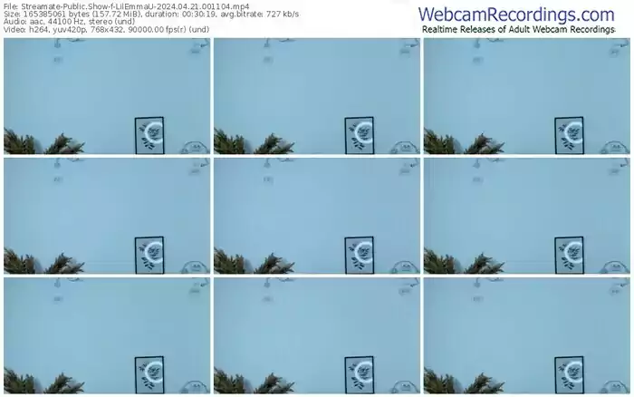 streamate-lilemmau-04-21-2024-00-11-04