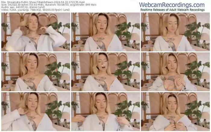 streamate-bambifawn-04-22-2024-07-21-35