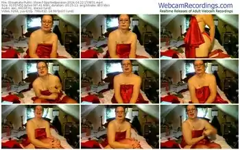 streamate-sparkedpassion-04-22-2024-15-08-31