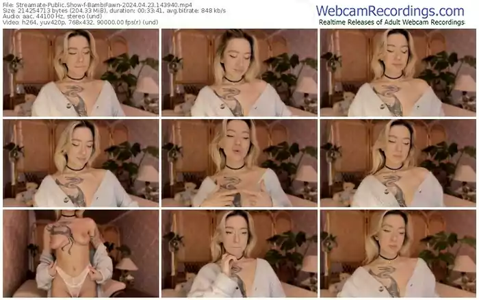 streamate-bambifawn-04-23-2024-14-39-40