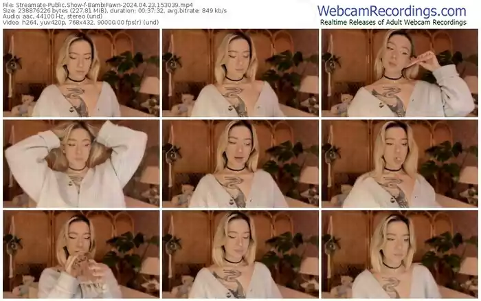 streamate-bambifawn-04-23-2024-15-30-39