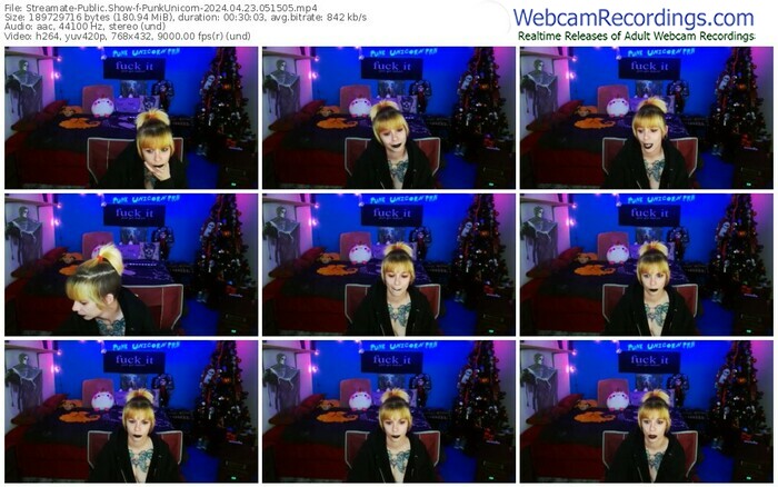 streamate-punkunicorn-04-23-2024-05-15-05