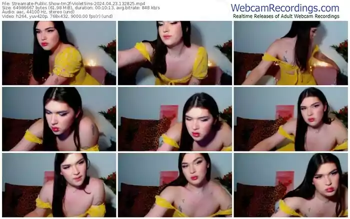 streamate-tm2f-violetsins-04-23-2024-13-28-25