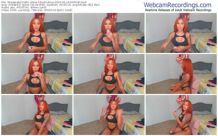 streamate-exoticarya-04-24-2024-00-40-28