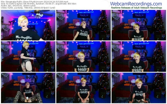 streamate-punkunicorn-04-24-2024-01-53-36