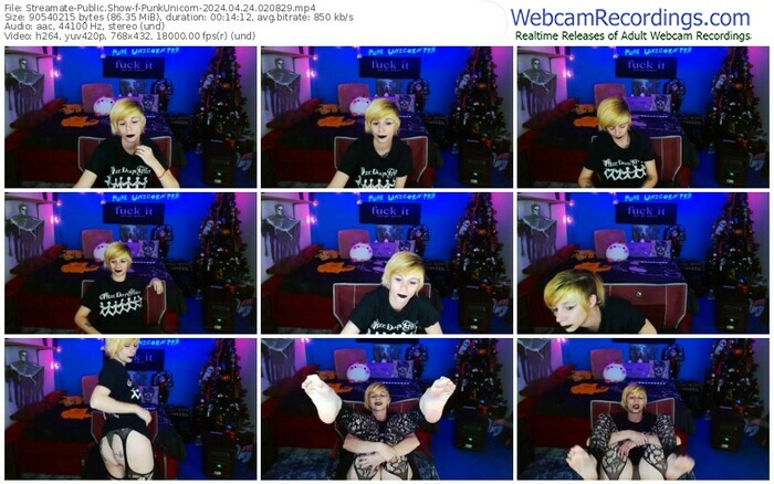 streamate-punkunicorn-04-24-2024-02-08-29