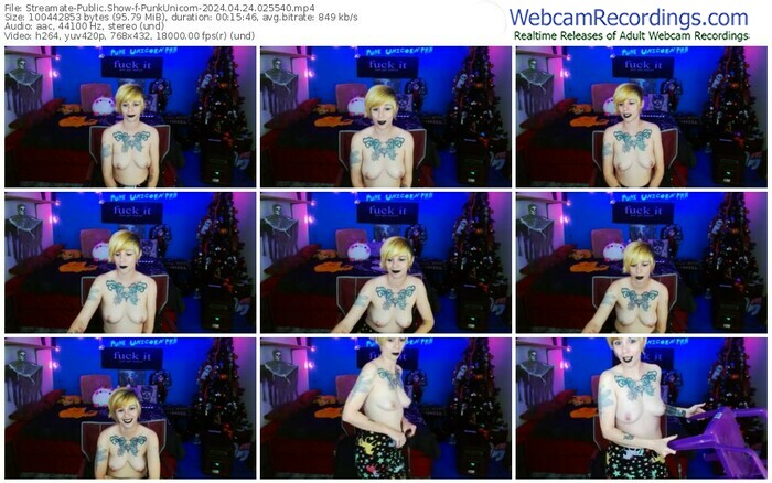 streamate-punkunicorn-04-24-2024-02-55-40