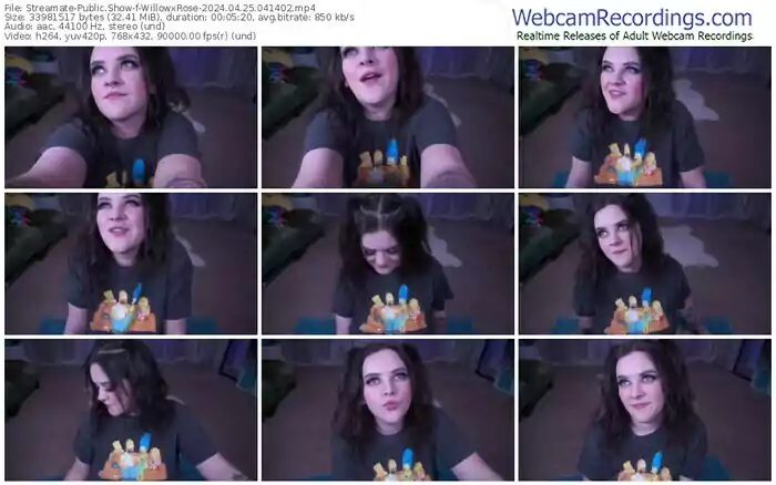 streamate-willowxrose-04-25-2024-04-14-02