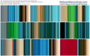 streamate-honeypuppy-04-26-2024-17-42-02