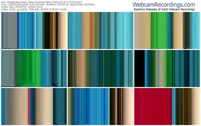 streamate-honeypuppy-04-26-2024-17-42-02