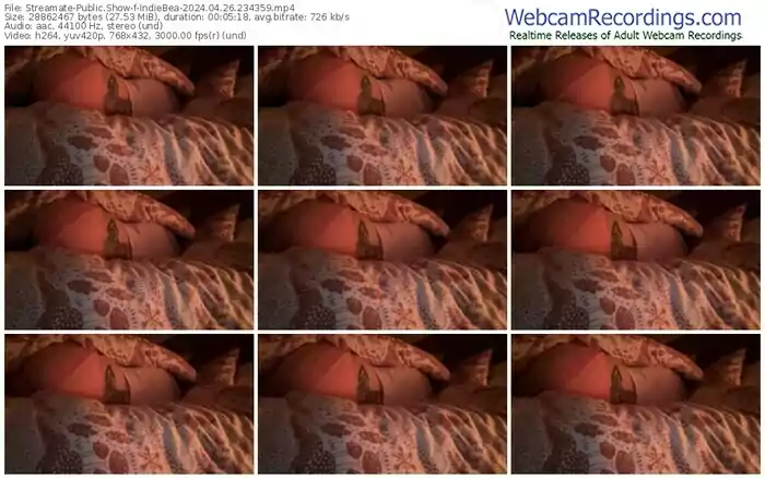 streamate-indiebea-04-26-2024-23-43-59