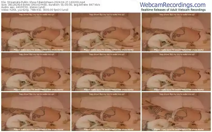 streamate-bambifawn-04-27-2024-16-32-03