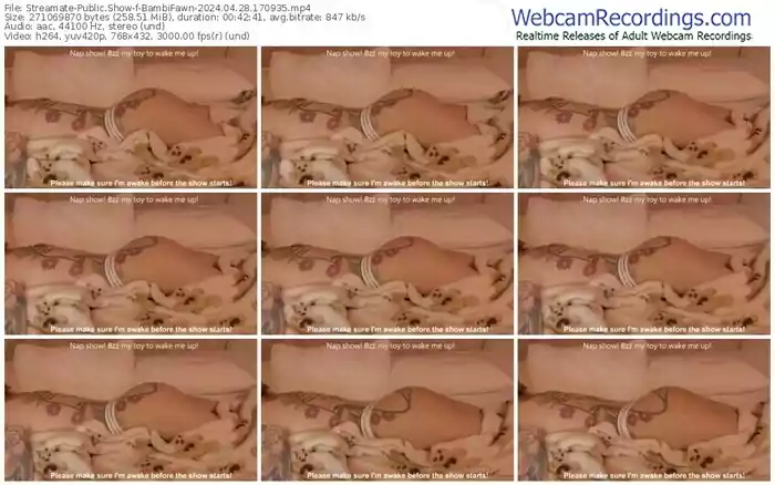 streamate-bambifawn-04-28-2024-17-09-35