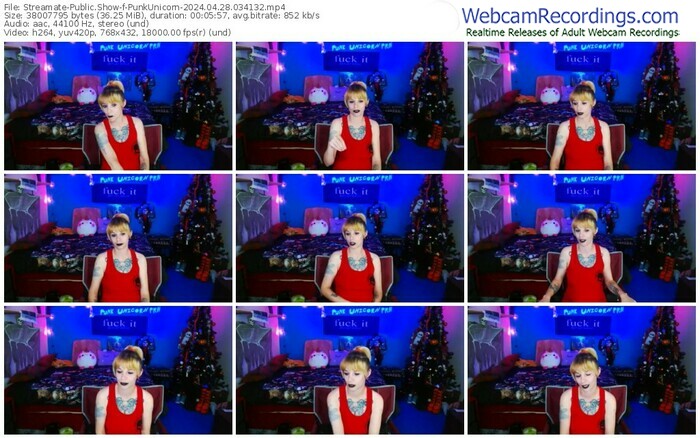 streamate-punkunicorn-04-28-2024-03-41-32