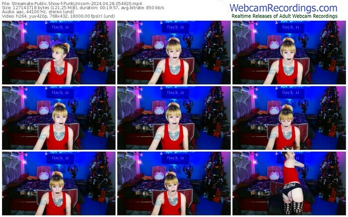 streamate-punkunicorn-04-28-2024-05-49-20