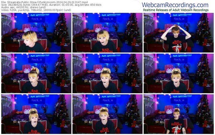 streamate-punkunicorn-04-29-2024-01-31-47