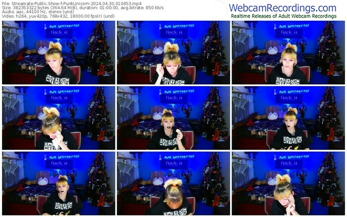streamate-punkunicorn-04-30-2024-01-06-53