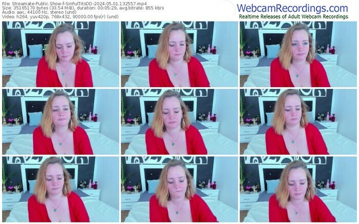 streamate-sinfultitsdd-05-01-2024-13-25-57