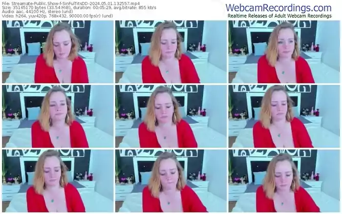 streamate-sinfultitsdd-05-01-2024-13-25-57