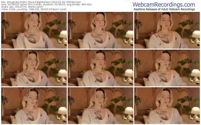 streamate-bambifawn-05-03-2024-16-06-44