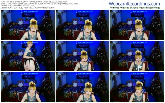 streamate-punkunicorn-05-03-2024-00-23-39