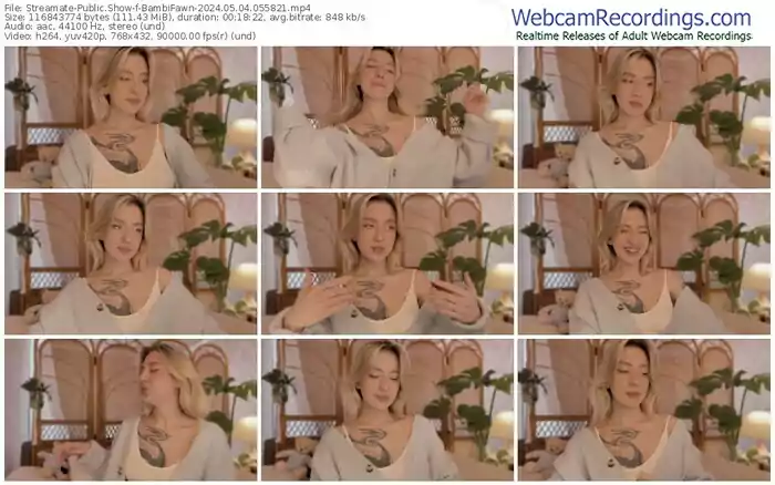 streamate-bambifawn-05-04-2024-05-58-21