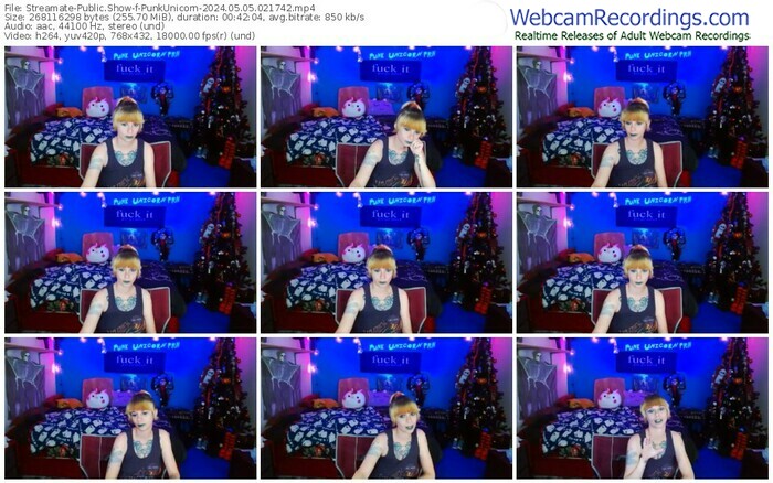 streamate-punkunicorn-05-05-2024-02-17-42