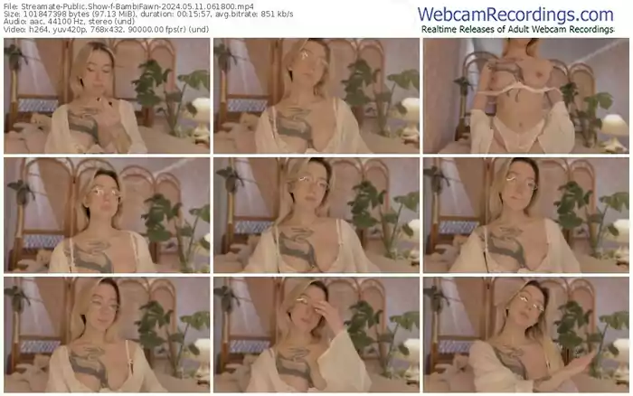 streamate-bambifawn-05-11-2024-06-18-00