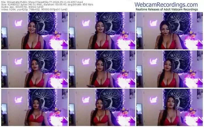 streamate-sweetsky77-05-11-2024-01-43-57
