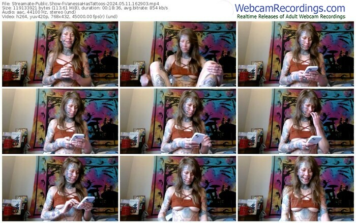 streamate-vanessahastattoos-05-11-2024-16-29-03