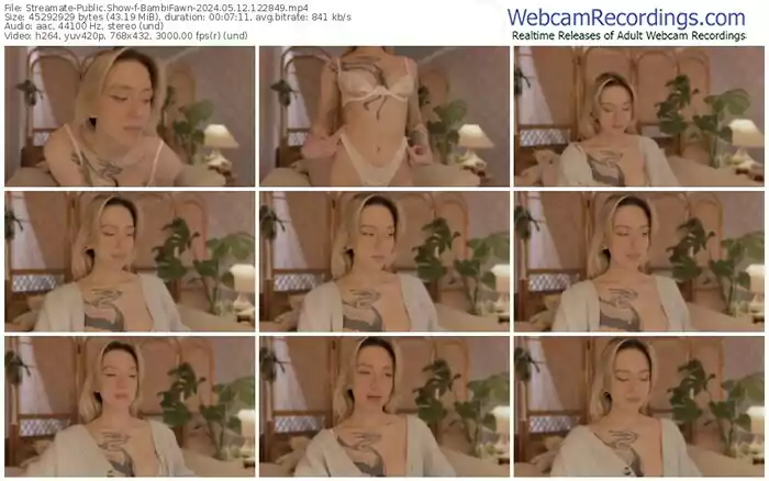 streamate-bambifawn-05-12-2024-12-28-49