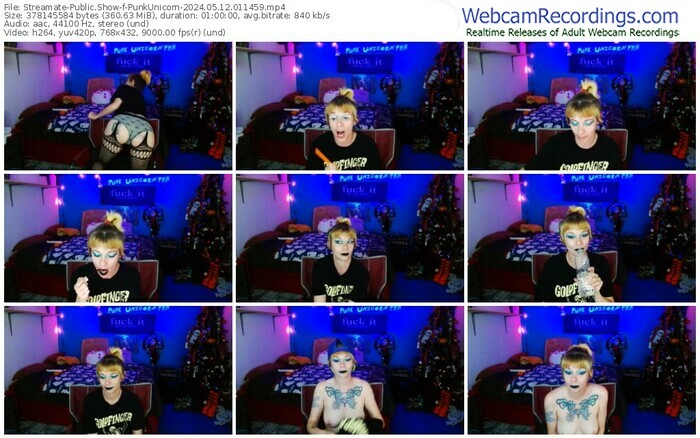 streamate-punkunicorn-05-12-2024-01-14-59