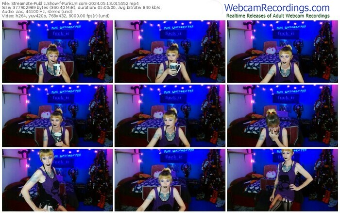 streamate-punkunicorn-05-13-2024-01-55-52