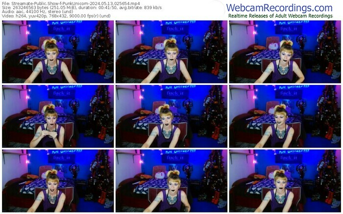 streamate-punkunicorn-05-13-2024-02-56-54