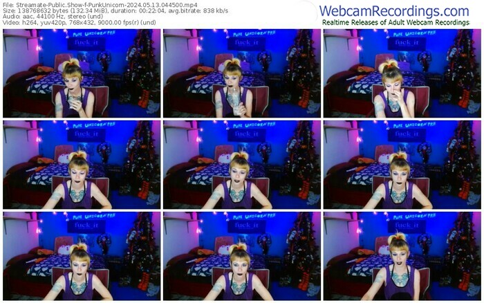 streamate-punkunicorn-05-13-2024-04-45-00