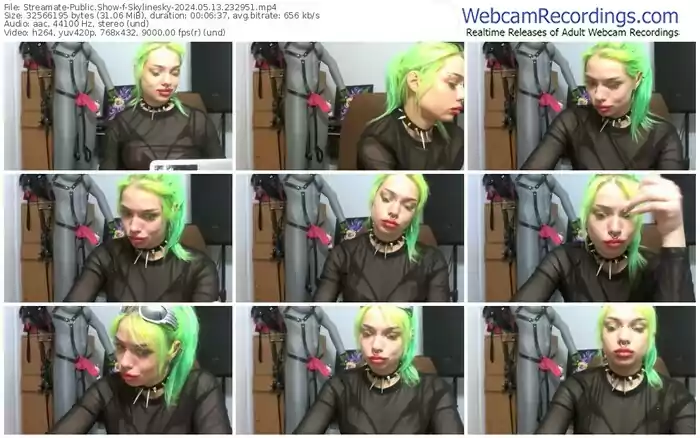 streamate-skylinesky-05-13-2024-23-29-51